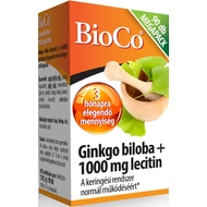 Gingko biloba + 1000 mg lecitin_90 db